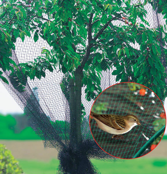 Защитная сетка от птиц для деревьев и растений