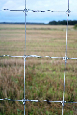 Сетка с фиксированным узлом Nodimor 200/17/15 рул 100м